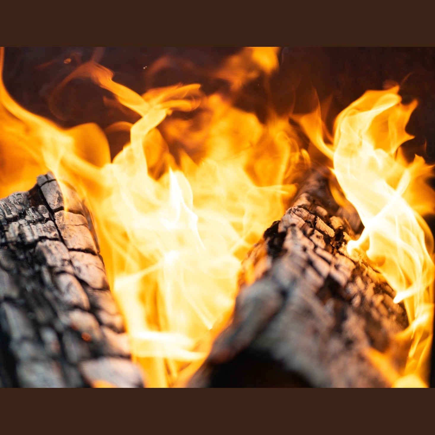 Wood Burning Fire Pits and Stoves